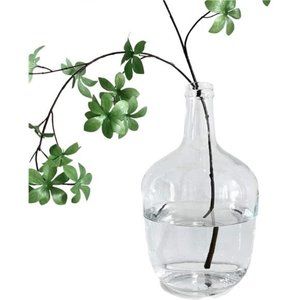 Large Clear Glass Jug Vase Round Flower Decorative Bubble Vase for Dining Table